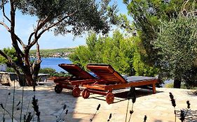 Villa Gjardini - Sparadici